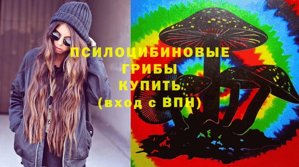 гашик Балабаново
