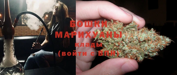 молекула духа Балахна